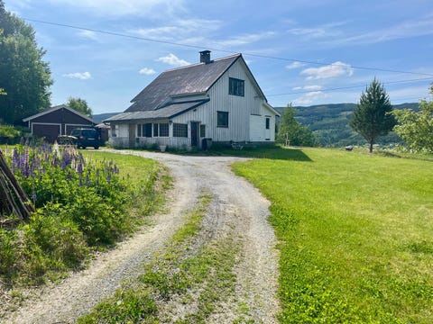 Bilde 1 av annonsen