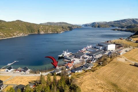 Bilde 1 av annonsen