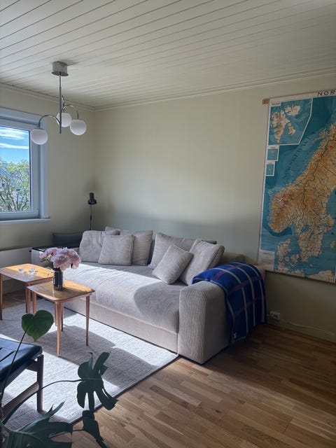 Bilde 1 av annonsen