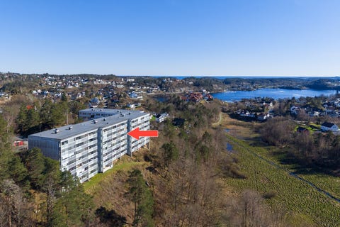 Bilde 1 av annonsen