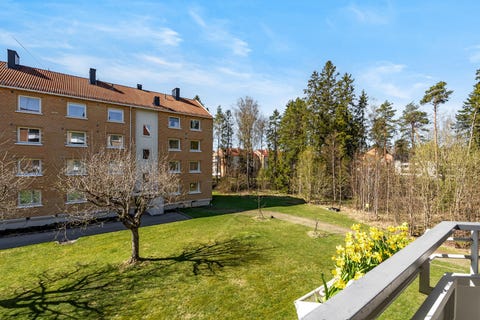 Bilde 2 av annonsen