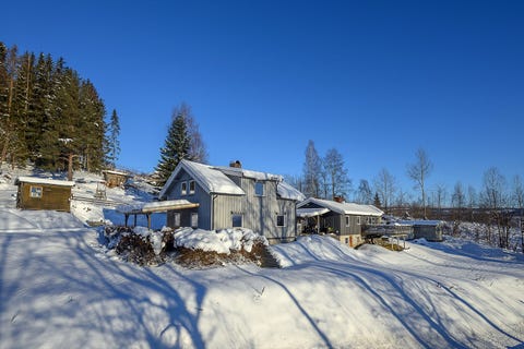 Bilde 1 av annonsen