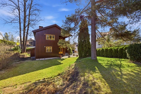 Bilde 1 av annonsen