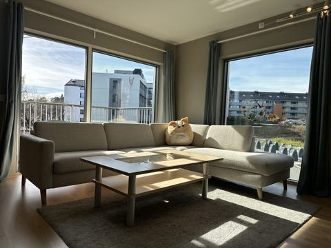 Bilde 2 av annonsen