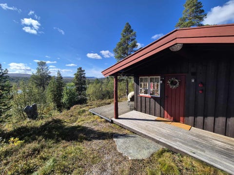 Bilde 1 av annonsen