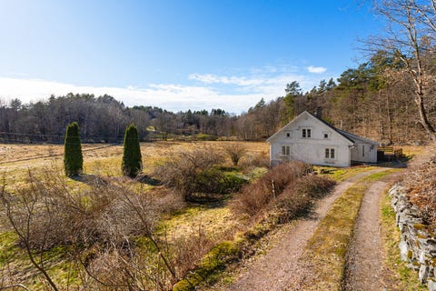 Bilde 2 av annonsen