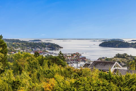 Bilde 2 av annonsen