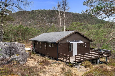 Bilde 1 av annonsen