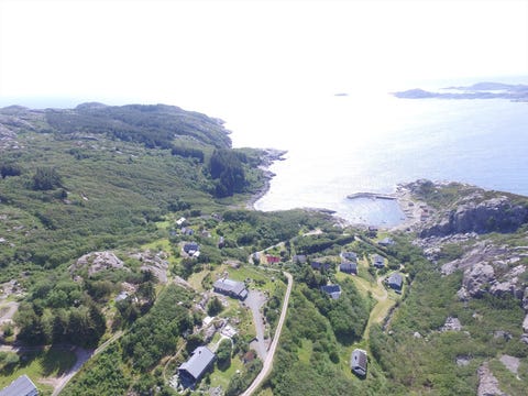 Bilde 1 av annonsen