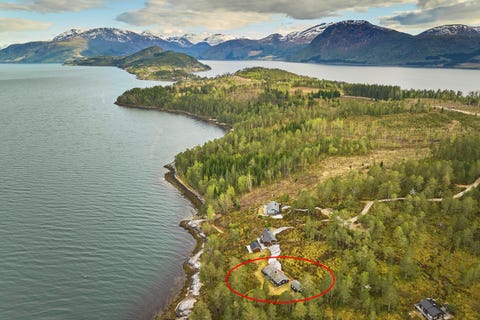 Bilde 1 av annonsen