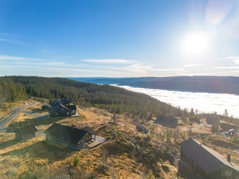 Bilde 2 av annonsen