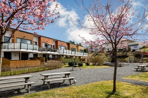 Bilde 2 av annonsen