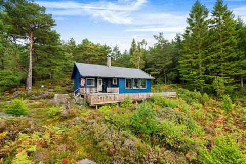 Bilde 1 av annonsen