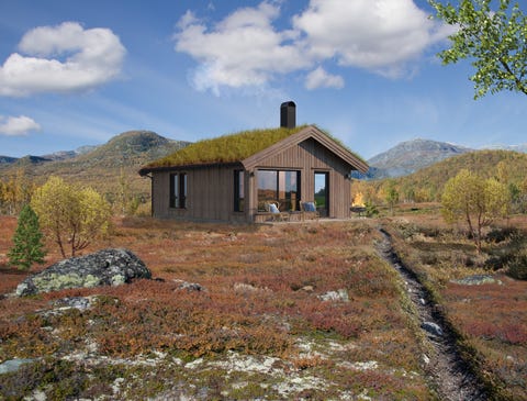 Bilde 1 av annonsen