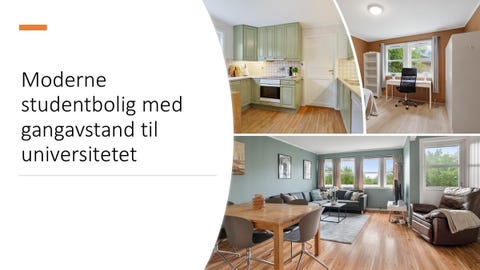 Bilde 1 av annonsen