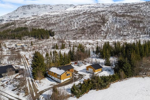 Bilde 1 av annonsen