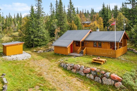 Bilde 1 av annonsen