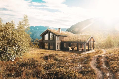 Bilde 1 av annonsen