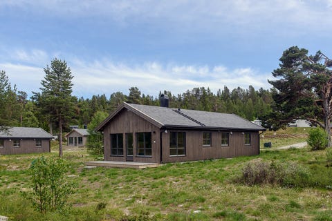 Bilde 1 av annonsen