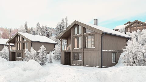 Bilde 1 av annonsen