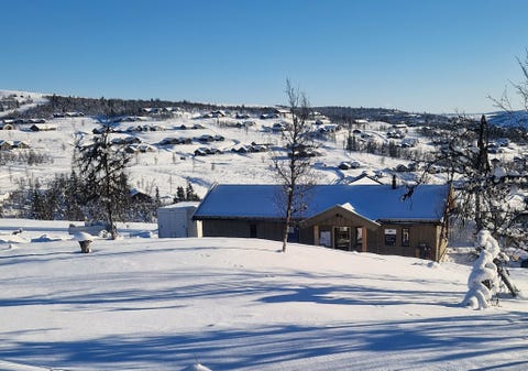 Bilde 1 av annonsen