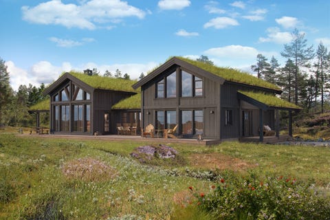 Bilde 1 av annonsen