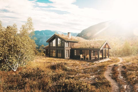 Bilde 1 av annonsen