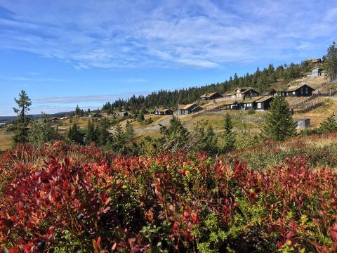 Bilde 2 av annonsen