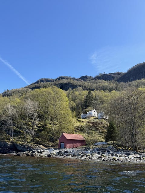 Bilde 1 av annonsen