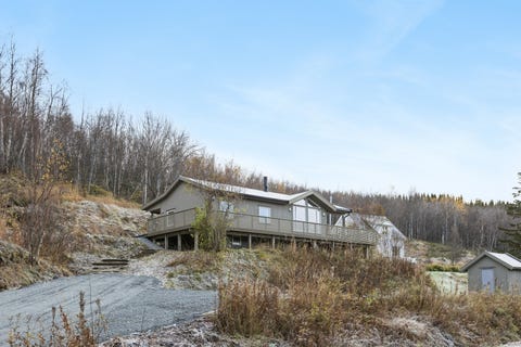 Bilde 1 av annonsen
