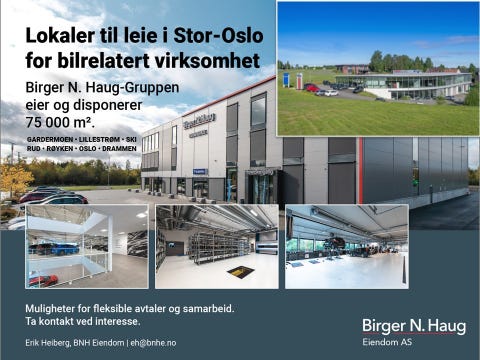 Bilde 1 av annonsen