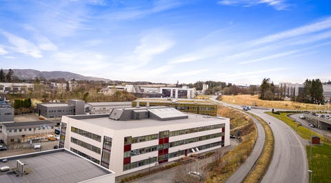 Bilde 2 av annonsen