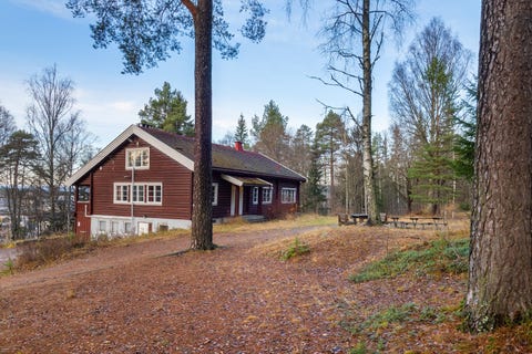 Bilde 2 av annonsen