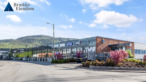 Bilde 1 av annonsen