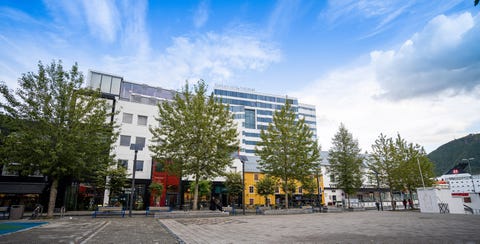 Bilde 1 av annonsen