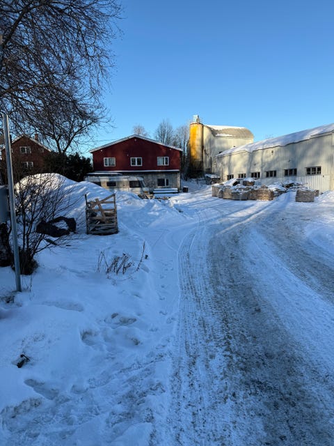 Bilde 2 av annonsen