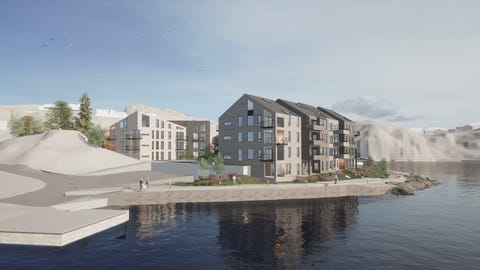Bilde 1 av annonsen