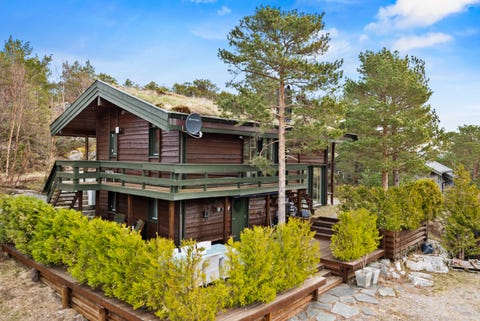 Bilde 1 av annonsen