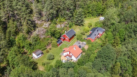 Bilde 1 av annonsen