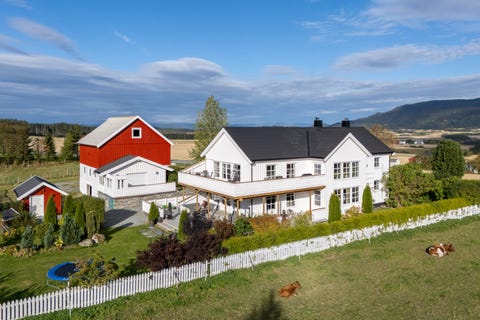 Bilde 1 av annonsen
