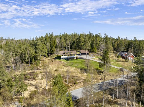 Bilde 2 av annonsen