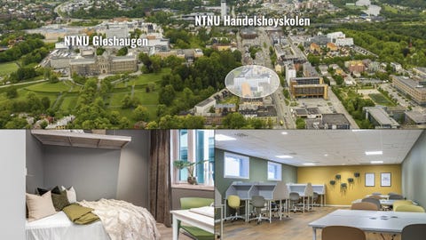 Bilde 1 av annonsen