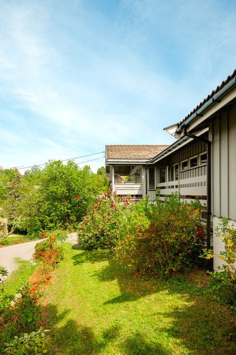 Bilde 2 av annonsen