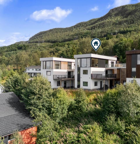 Bilde 1 av annonsen