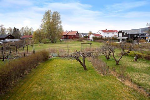 Bilde 2 av annonsen