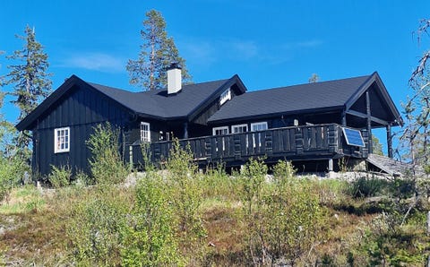 Bilde 1 av annonsen