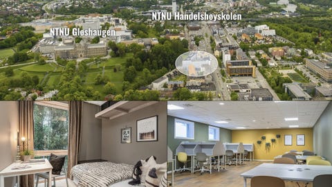 Bilde 1 av annonsen