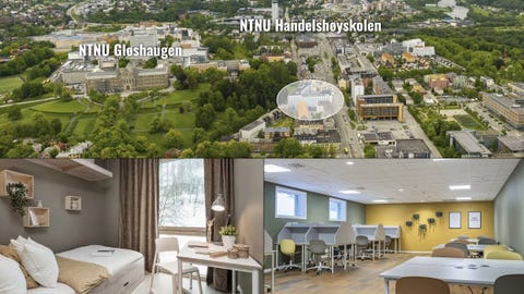 Bilde 1 av annonsen