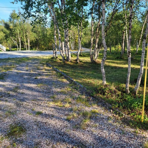 Bilde 2 av annonsen