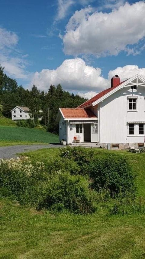 Bilde 2 av annonsen
